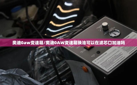 奥迪0aw变速箱/奥迪0AW变速箱换油可以在滤芯口加油吗