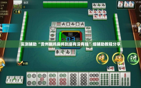 实测辅助“贵州翻鸡麻将到底有没有挂”细辅助教程分享