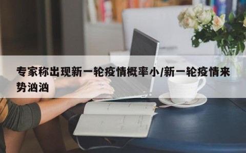 专家称出现新一轮疫情概率小/新一轮疫情来势汹汹