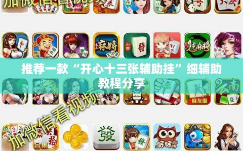 推荐一款“开心十三张辅助挂”细辅助教程分享
