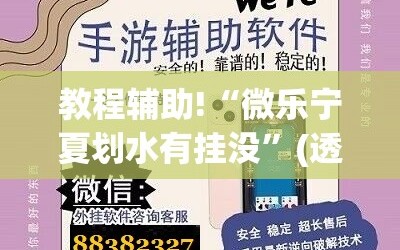 教程辅助!“微乐宁夏划水有挂没”(透视挂)辅助下载教程