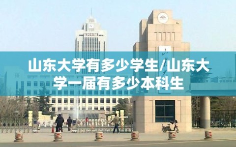 山东大学有多少学生/山东大学一届有多少本科生