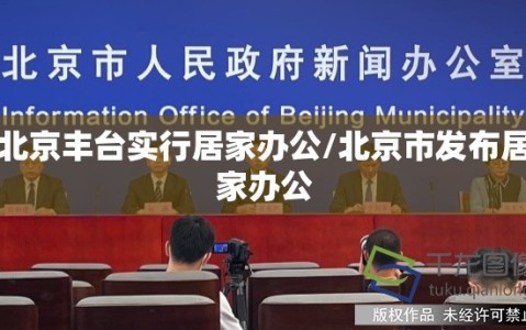 北京丰台实行居家办公/北京市发布居家办公
