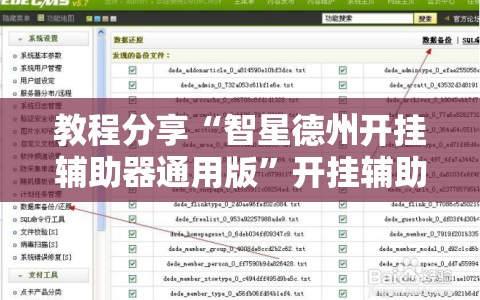 教程分享“智星德州开挂辅助器通用版”开挂辅助脚本+详细开挂安装教程
