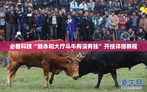 必备科技“新永和大厅斗牛有没有挂”开挂详细教程