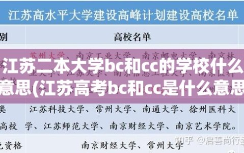 江苏二本大学bc和cc的学校什么意思(江苏高考bc和cc是什么意思)