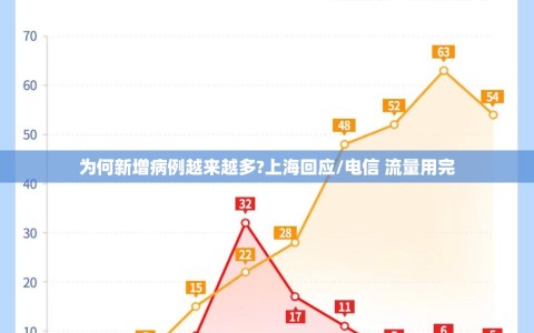 为何新增病例越来越多?上海回应/电信 流量用完