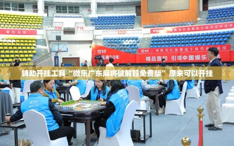 辅助开挂工具“微乐广东麻将破解器免费版”原来可以开挂
