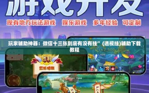 玩家辅助神器：微信十三张到底有没有挂”(透视挂)辅助下载教程