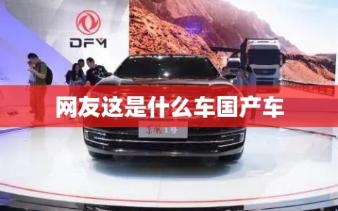 网友这是什么车国产车