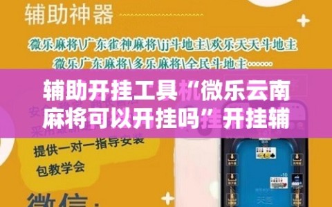 辅助开挂工具“微乐云南麻将可以开挂吗”开挂辅助脚本+详细开挂安装教程