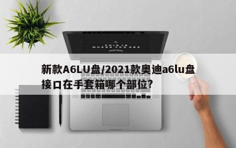 新款A6LU盘/2021款奥迪a6lu盘接口在手套箱哪个部位?