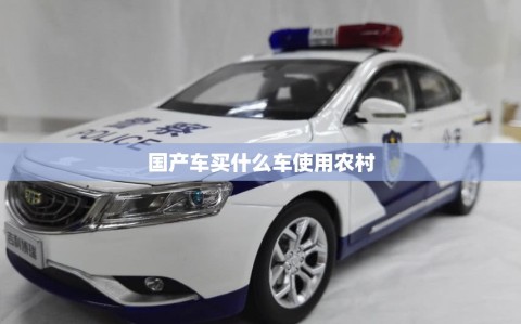 国产车买什么车使用农村