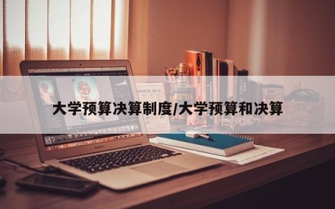 大学预算决算制度/大学预算和决算