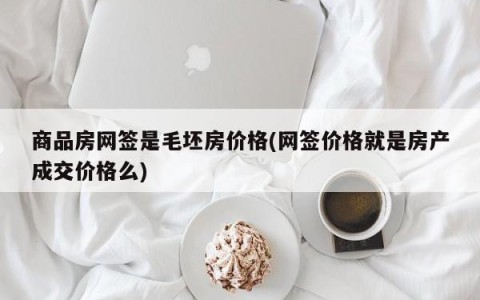 商品房网签是毛坯房价格(网签价格就是房产成交价格么)