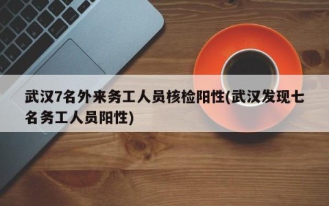 武汉7名外来务工人员核检阳性(武汉发现七名务工人员阳性)