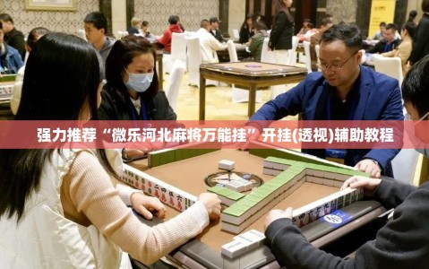 强力推荐“微乐河北麻将万能挂”开挂(透视)辅助教程