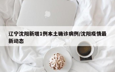 辽宁沈阳新增1例本土确诊病例/沈阳疫情最新动态