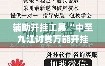 辅助开挂工具“中至九江讨赏万能开挂神器”开挂(透视)辅助神器