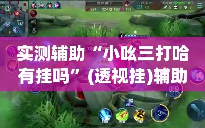 实测辅助“小吆三打哈有挂吗”(透视挂)辅助下载教程