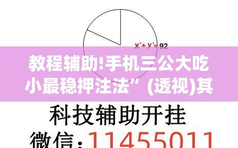 教程辅助!手机三公大吃小最稳押注法”(透视)其实确实有挂