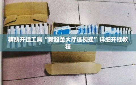 辅助开挂工具“新超圣大厅透视挂”详细开挂教程
