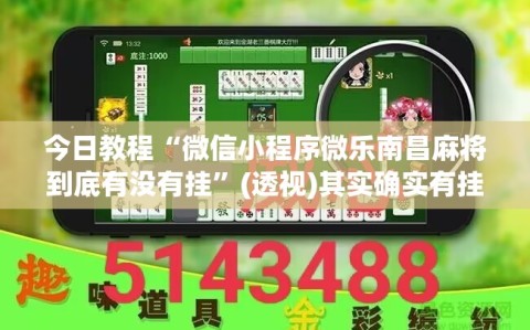 今日教程“微信小程序微乐南昌麻将到底有没有挂”(透视)其实确实有挂