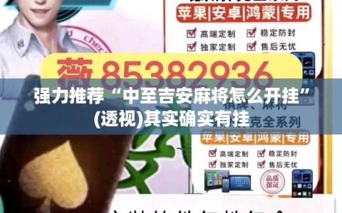 强力推荐“中至吉安麻将怎么开挂”(透视)其实确实有挂