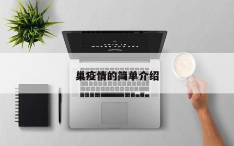 巢疫情的简单介绍