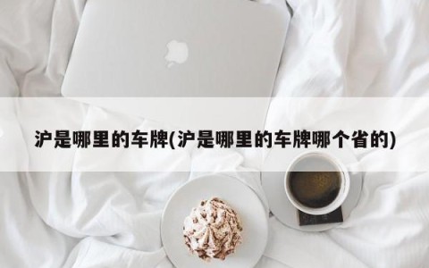沪是哪里的车牌(沪是哪里的车牌哪个省的)