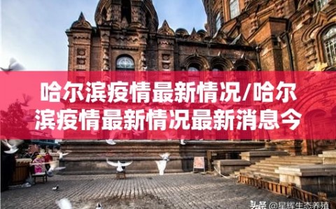 哈尔滨疫情最新情况/哈尔滨疫情最新情况最新消息今天