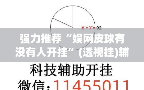 强力推荐“娱网皮球有没有人开挂”(透视挂)辅助下载教程