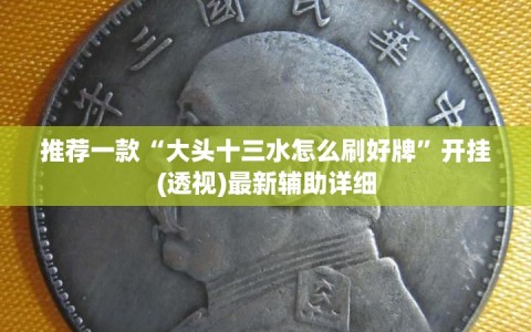 推荐一款“大头十三水怎么刷好牌”开挂(透视)最新辅助详细