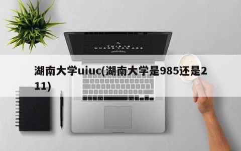 湖南大学uiuc(湖南大学是985还是211)
