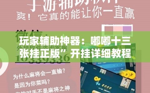 玩家辅助神器：嘟嘟十三张挂正版”开挂详细教程