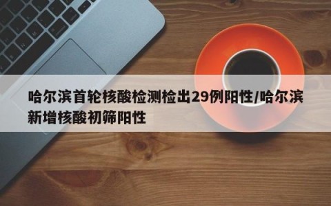 哈尔滨首轮核酸检测检出29例阳性/哈尔滨新增核酸初筛阳性