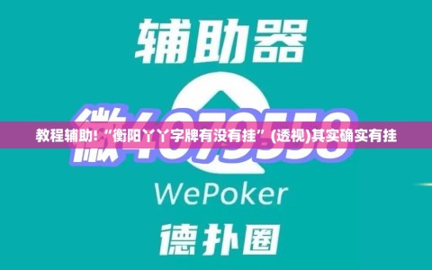 教程辅助!“衡阳丫丫字牌有没有挂”(透视)其实确实有挂