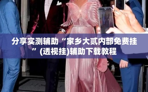 分享实测辅助“家乡大贰内部免费挂”(透视挂)辅助下载教程