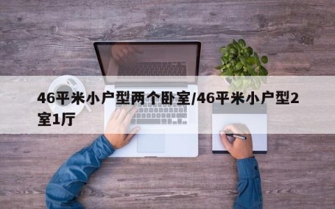 46平米小户型两个卧室/46平米小户型2室1厅