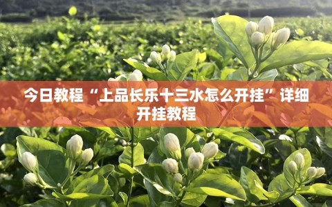 今日教程“上品长乐十三水怎么开挂”详细开挂教程