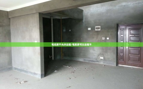 毛坯房不允许出租/毛胚房可以出租不