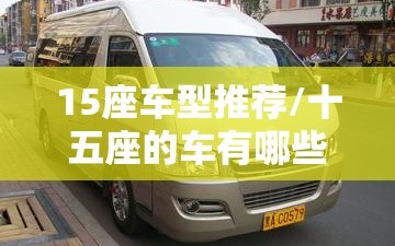 15座车型推荐/十五座的车有哪些
