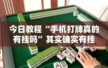 今日教程“手机打牌真的有挂吗”其实确实有挂