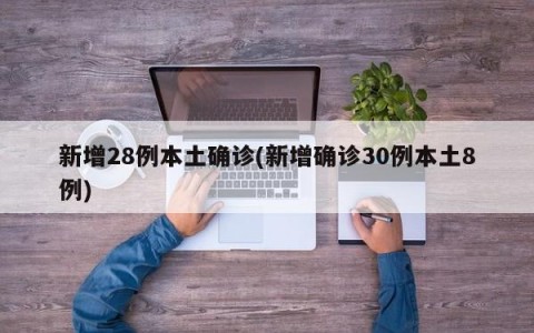 新增28例本土确诊(新增确诊30例本土8例)