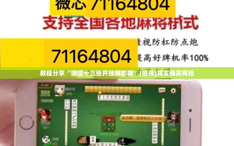 教程分享“微信十三张开挂辅助器”(透视)其实确实有挂