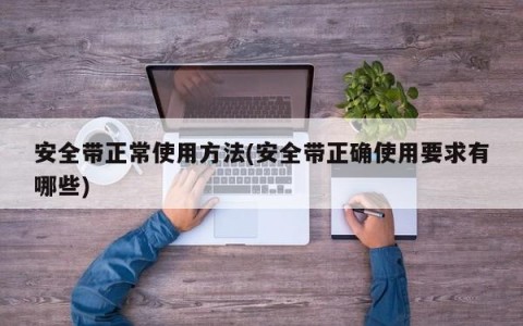 安全带正常使用方法(安全带正确使用要求有哪些)