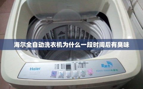 海尔全自动洗衣机为什么一段时间后有臭味