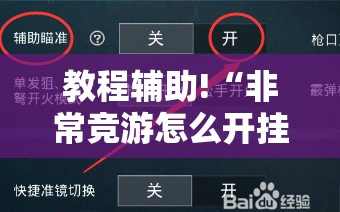 教程辅助!“非常竞游怎么开挂”开挂详细教程