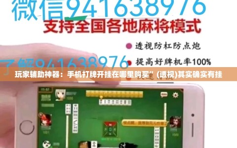 玩家辅助神器：手机打牌开挂在哪里购买”(透视)其实确实有挂