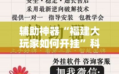 辅助神器“福建大玩家如何开挂”科技辅助神器手机版